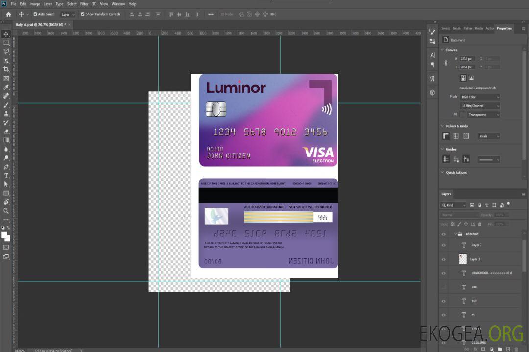Carte électronique Visa Luminor Bank d'Estonie template Carte électronique Visa Luminor Bank d'Estonie template